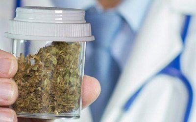 What is a Marijuana Doctor?