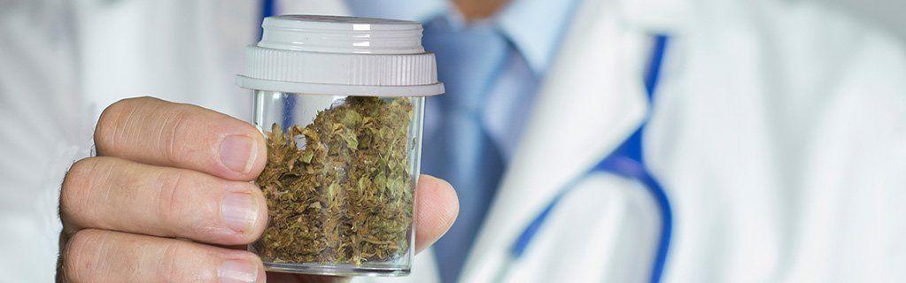 What is a Marijuana Doctor?