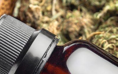 Beginner’s Guide to Medical Marijuana
