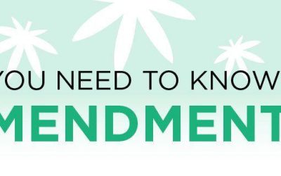What You Need to Know About Amendment 2
