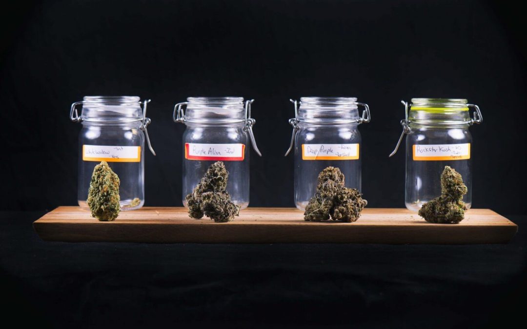 Marijuana Strains