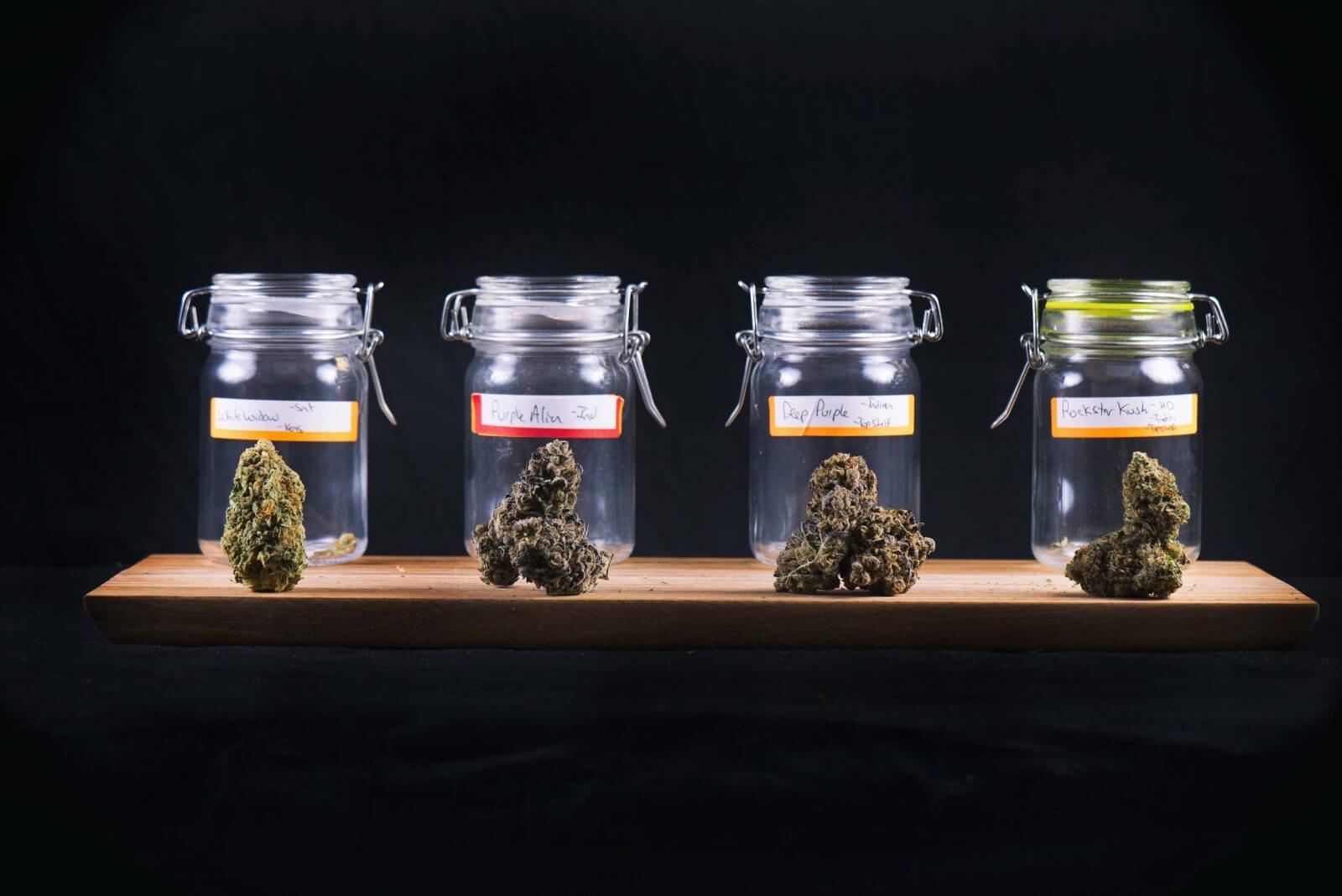 Marijuana Strains