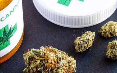 Concealed Carry + Medical Marijuana