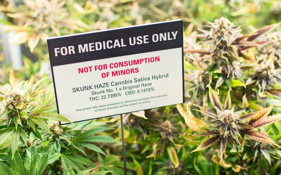 What is the Difference Between Medical and Recreational Marijuana?