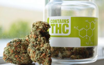 Is Medical Marijuana Legal in Florida?