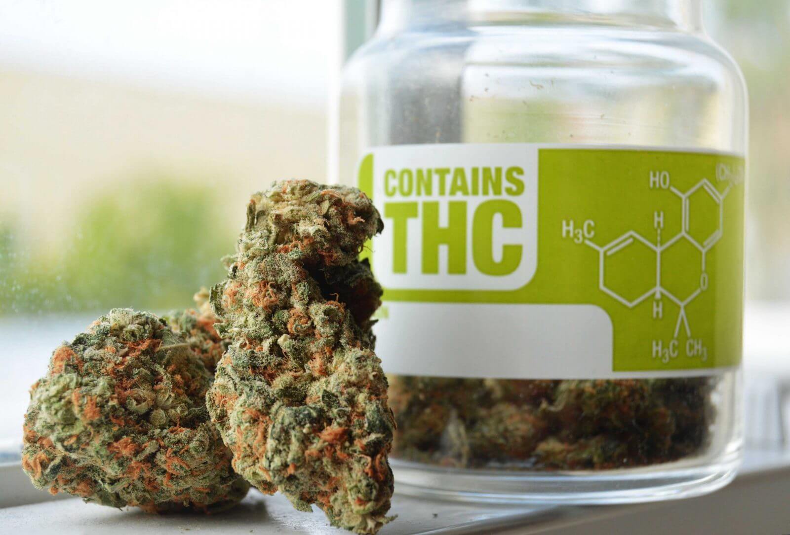 Is Medical Marijuana Legal in Florida?