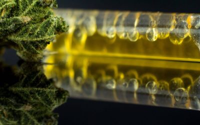 What does Medical Marijuana cost in Florida?