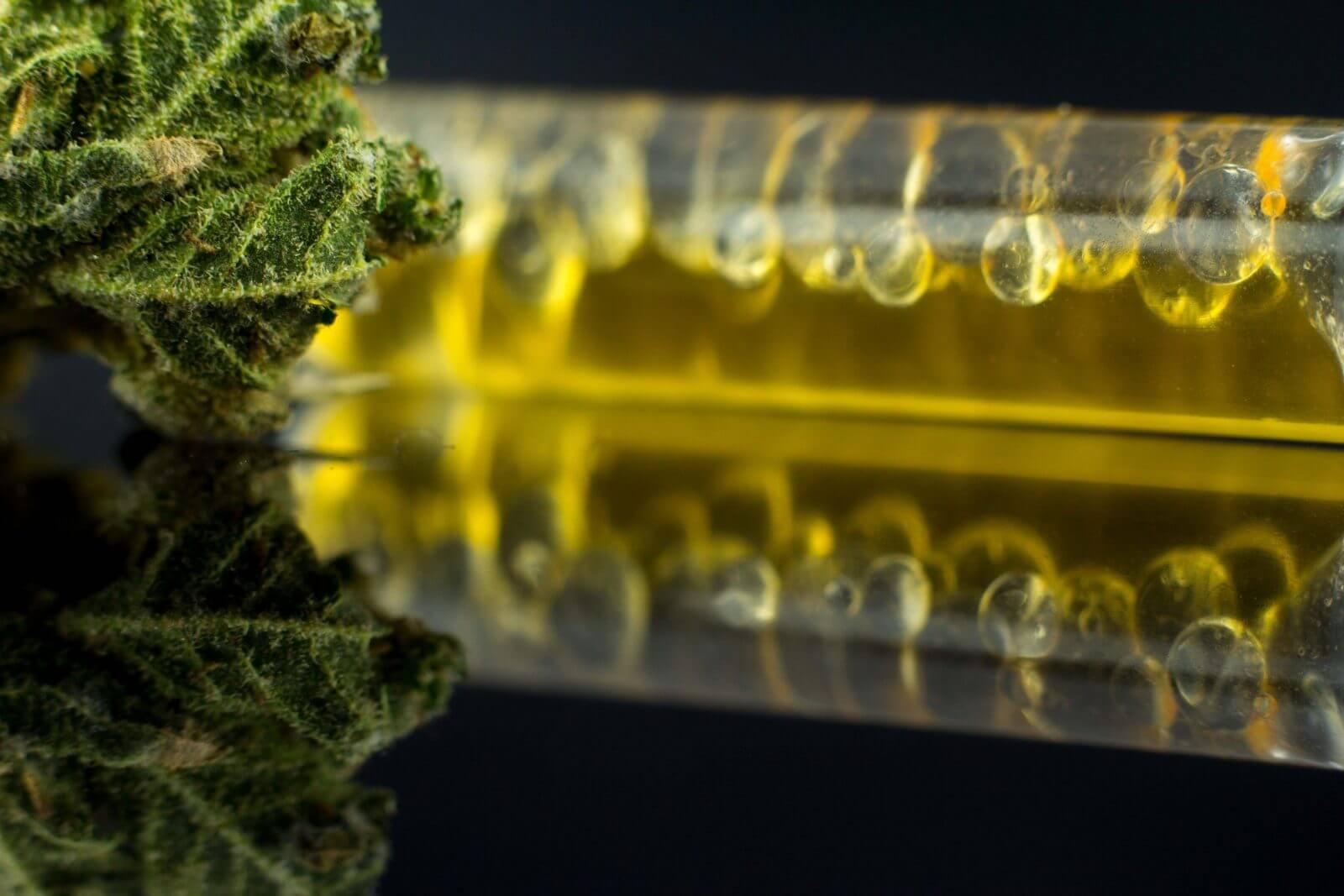 What does Medical Marijuana cost in Florida?