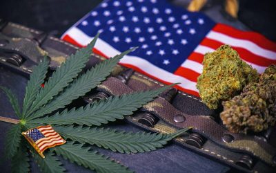 Treating Post-Traumatic Stress Disorder with Medical Marijuana
