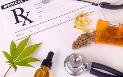 Who is the Best Marijuana Doctor in Florida?
