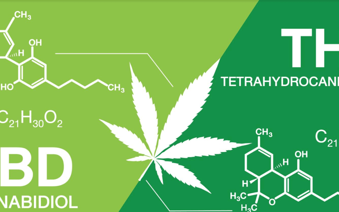 What CBD: THC Ratio Should I Use to Get the Best Effects?