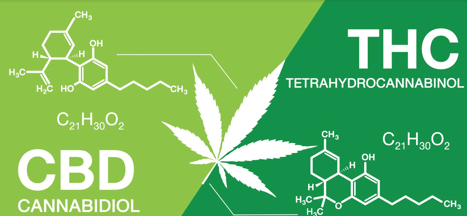 CBD:THC Ratios – What Should I Use to Get the Best Effects in Ohio?
