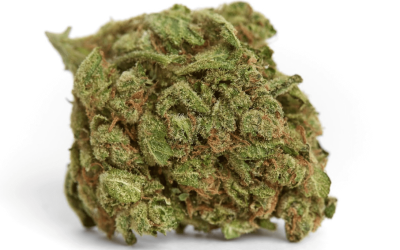 Where Can I Buy Medical Marijuana in Ohio?