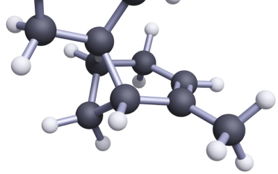 Terpenes – What Are They Exactly in Ohio?