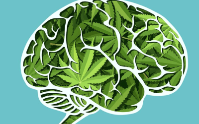 Does Marijuana Really Kill Brain Cells?