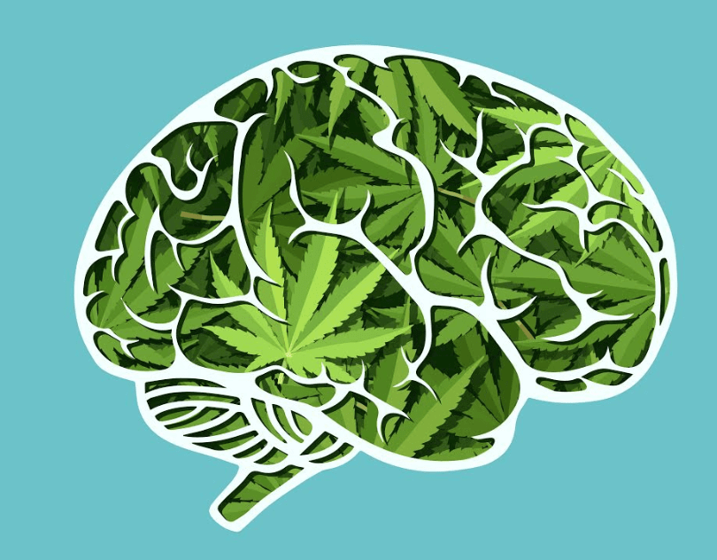Does Marijuana Really Kill Brain Cells?