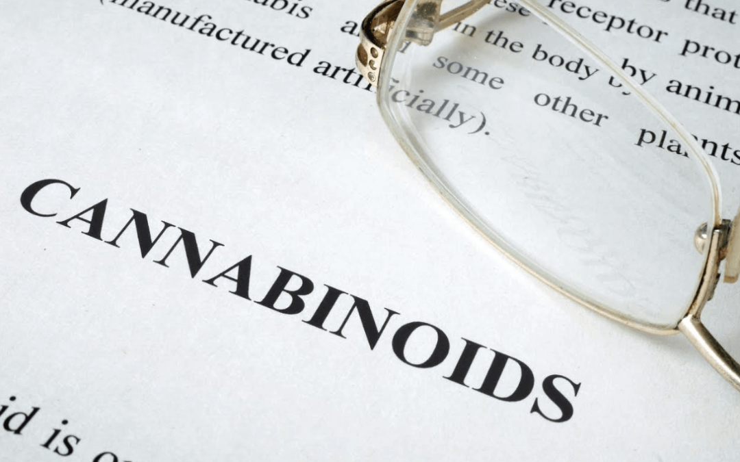 What are Cannabinoids and What do They do?