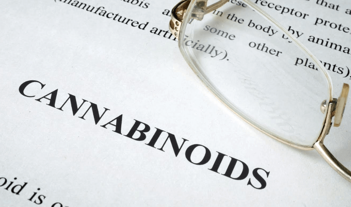 What are Cannabinoids and What do They do?