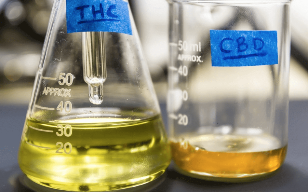 THC vs. CBD: What’s the Difference in Ohio?