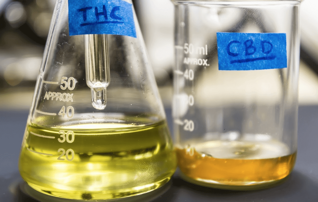 THC vs. CBD: What’s the Difference in Ohio?