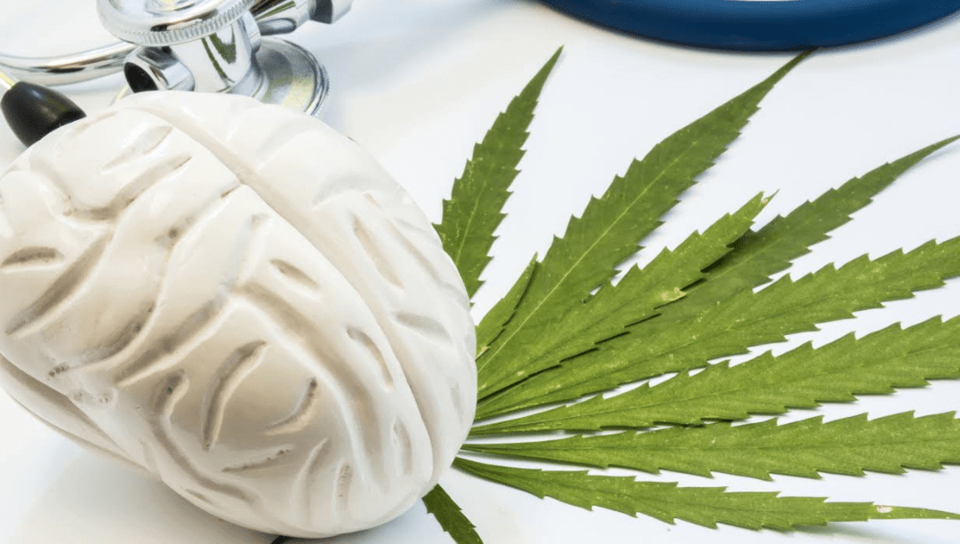 Can Marijuana Use Kill Brain Cells in Ohio?
