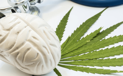 Can Marijuana Use Kill Brain Cells in Ohio?