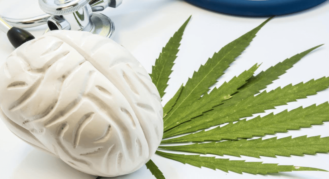 Can Marijuana Use Kill Brain Cells in Ohio?