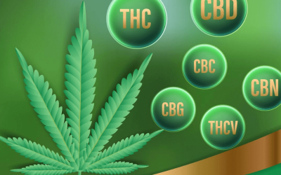 Cannabinoids: What Are They & What Do They Do in Ohio?