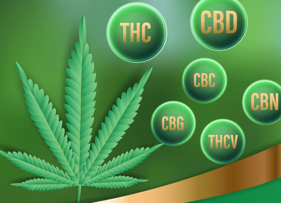 Cannabinoids: What Are They & What Do They Do in Ohio?