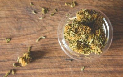 Can You Overdose on Marijuana?