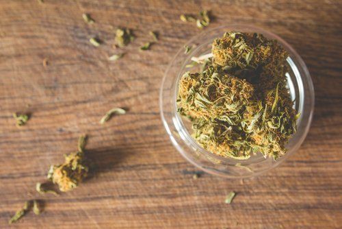 Can You Overdose on Marijuana?