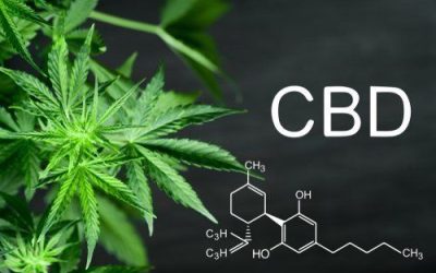 Does CBD Get You High?