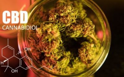 Can you Get High from CBD in Ohio?
