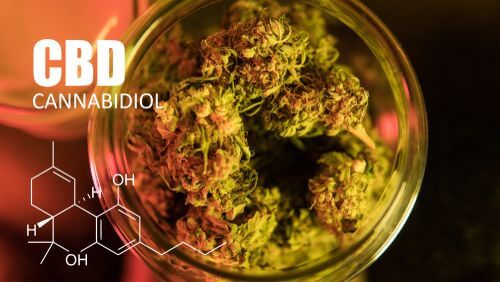 Can you Get High from CBD in Ohio?