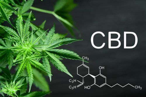 Does CBD Get You High?