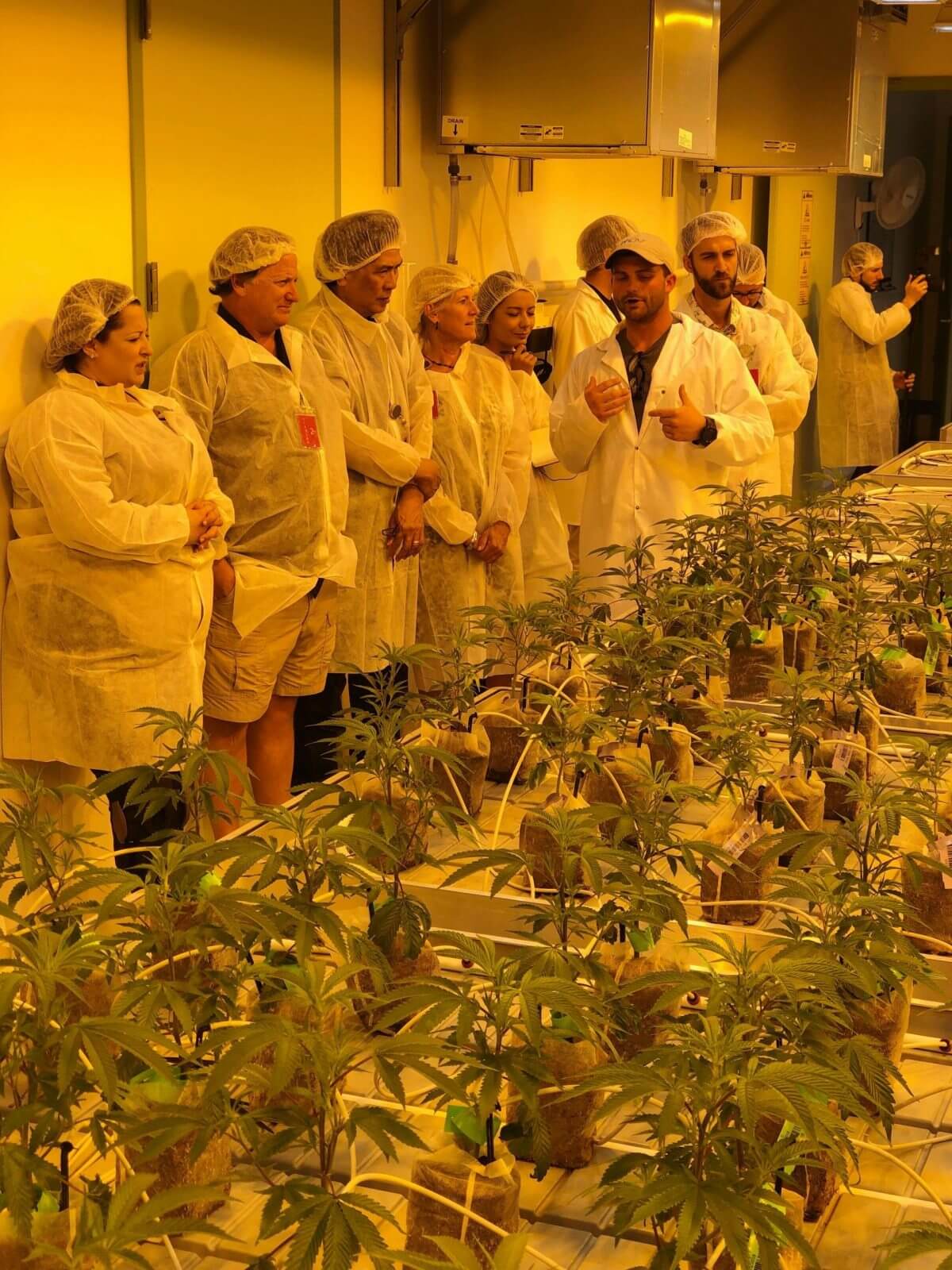 DocMJ Tours the MÜV Grow Facility