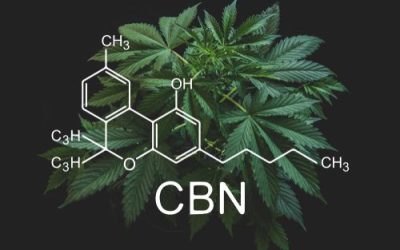 How Many Cannabinoids Actually Exist in Ohio?