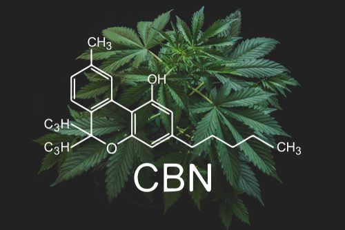 How Many Cannabinoids Actually Exist in Ohio?