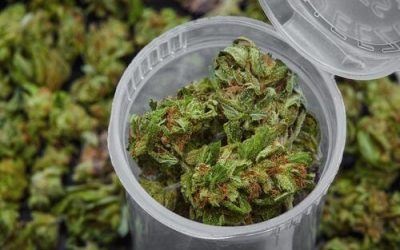 What Health Benefits does Medical Marijuana Offer in Ohio?