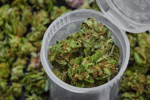 What Health Benefits does Medical Marijuana Offer in Ohio?