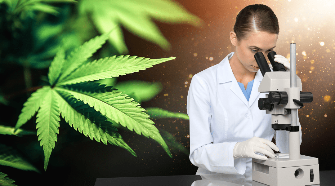 How Many Different Cannabinoids Are There?
