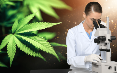How Many Different Cannabinoids Are There?