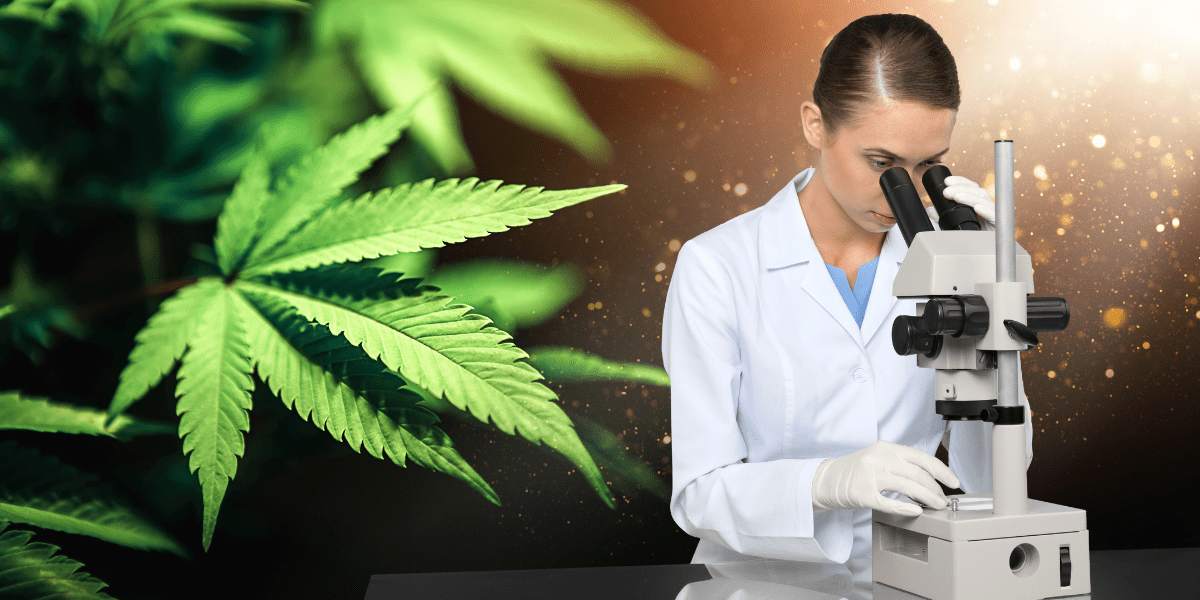 How Many Different Cannabinoids Are There?