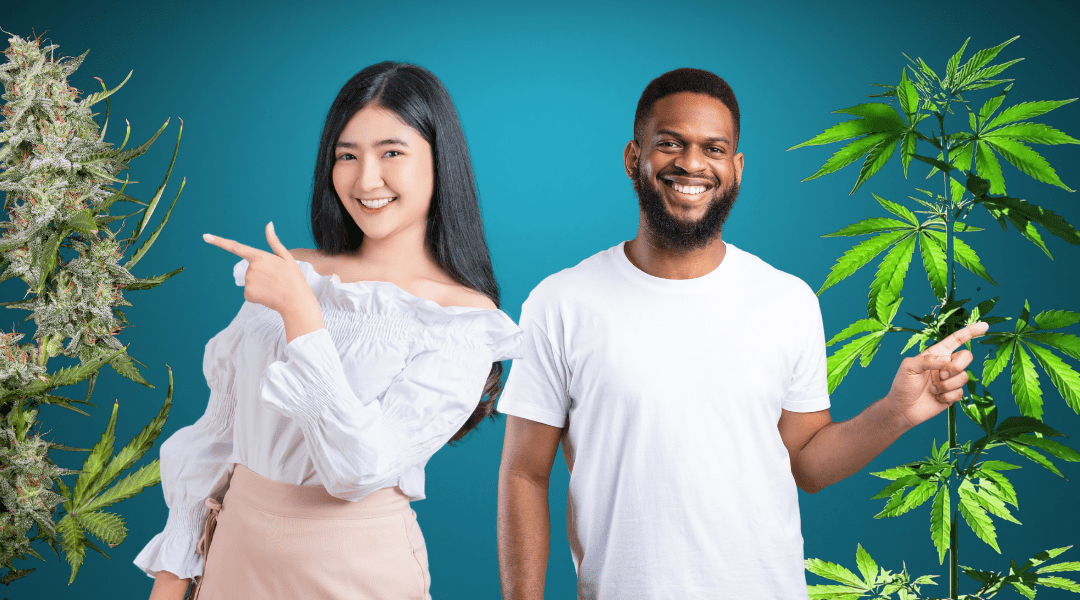 The Different Types of THC & Their Benefits