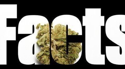 7 Fast Facts about Medical Marijuana