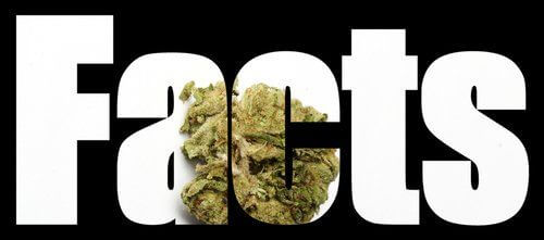 7 Fast Facts about Medical Marijuana