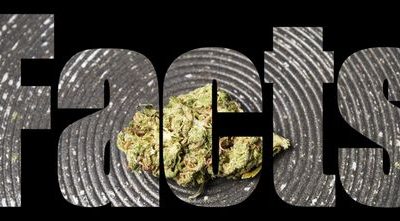Medical Marijuana: 7 Facts You Need to Know in Ohio