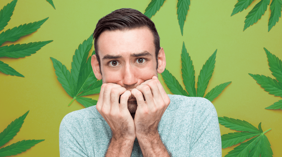 What To Do When You Feel Too High