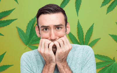 What To Do When You Feel Too High