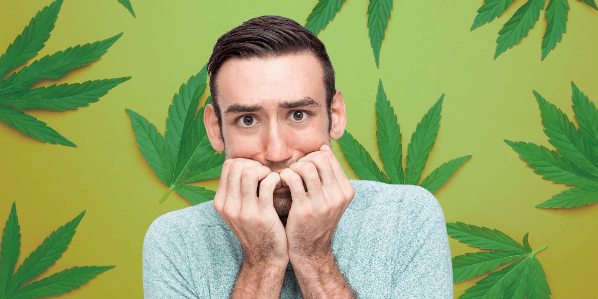 What To Do When You Feel Too High